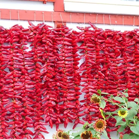 Сasa de vacaciones Iturri Ondo *