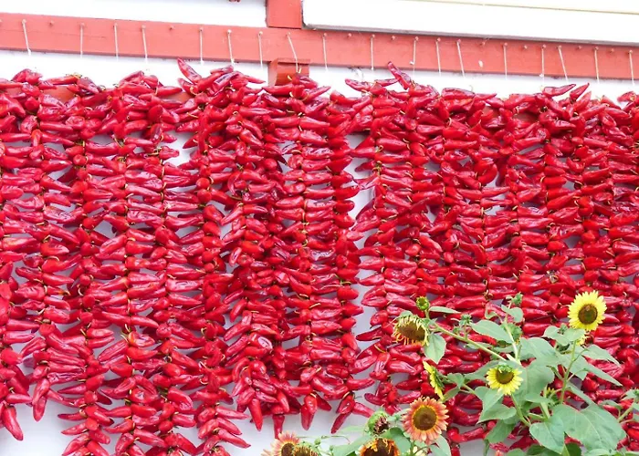 Nyaraló Iturri Ondo *